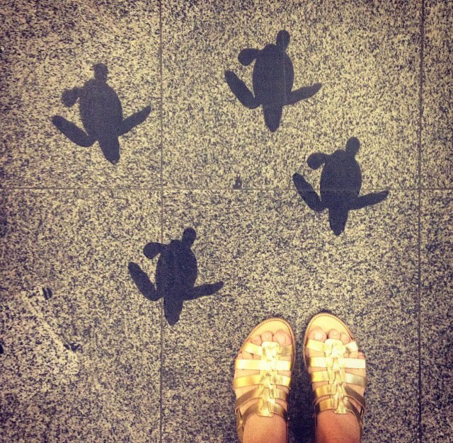 iPhoto-Channel_Instagram_Calcadinha-por-ai_Gabriela-Daltro-8