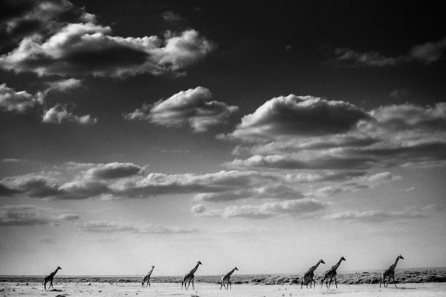 Laurent-Baheux-Caravan-Kenya-2013-900-x-600-72-dpi__880