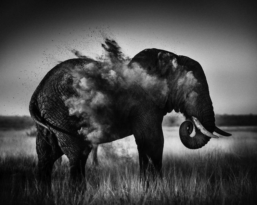 Laurent-Baheux-Dust-explosion-Kenya-2013-900 × 720-72-dpi__880