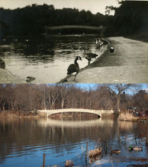 Central Park.