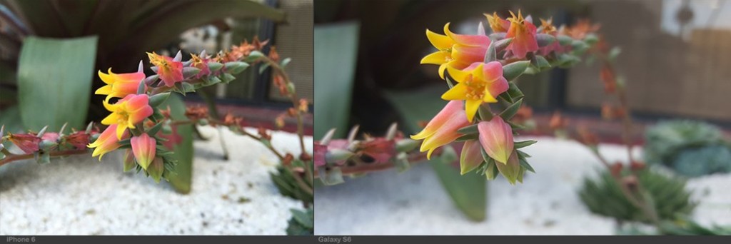 iPhotoChannel-galaxys6-iphone6-smartphone-camera