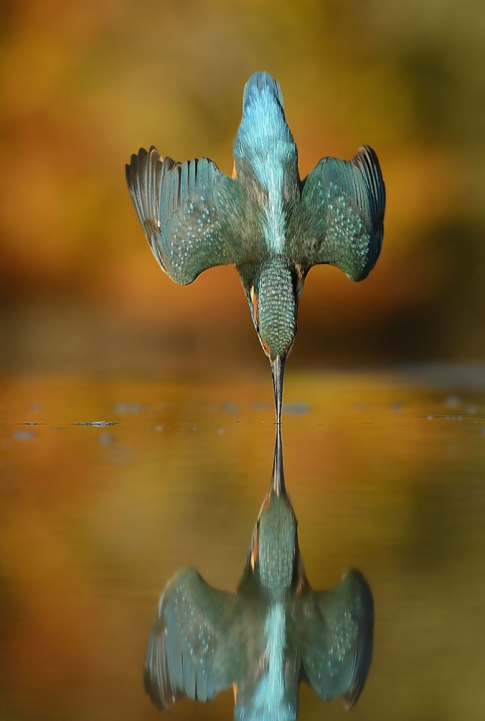 Foto: Alan McFadyen