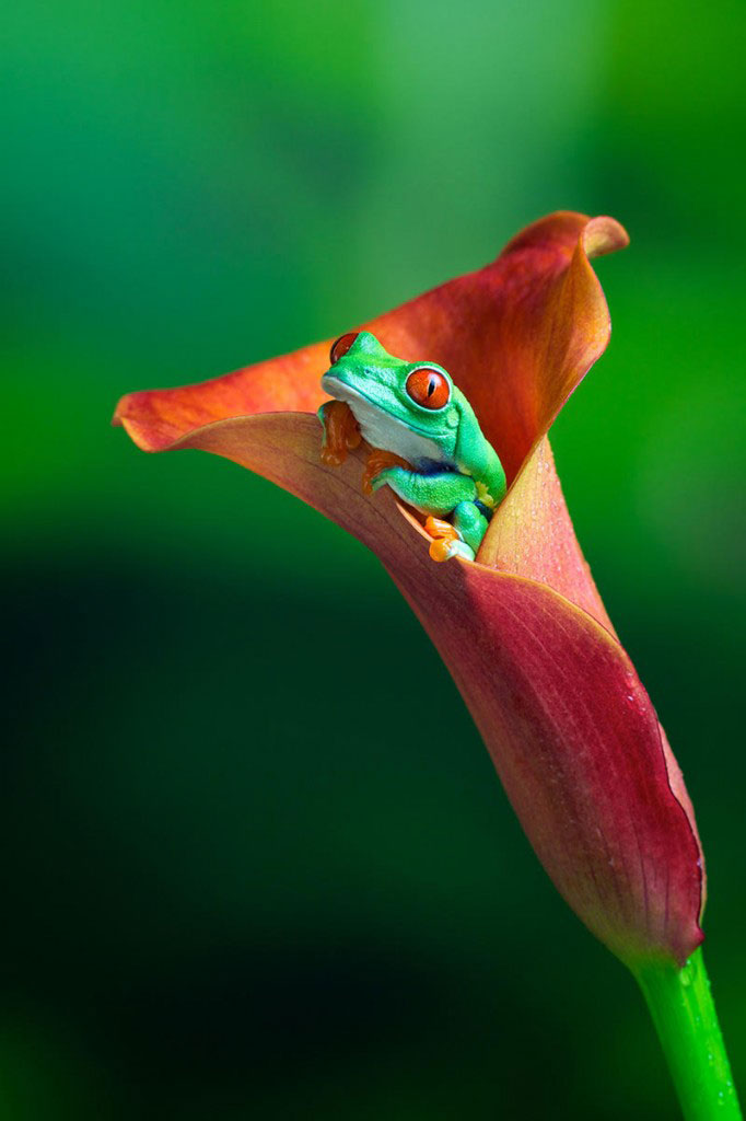 Foto: Mark Bridger