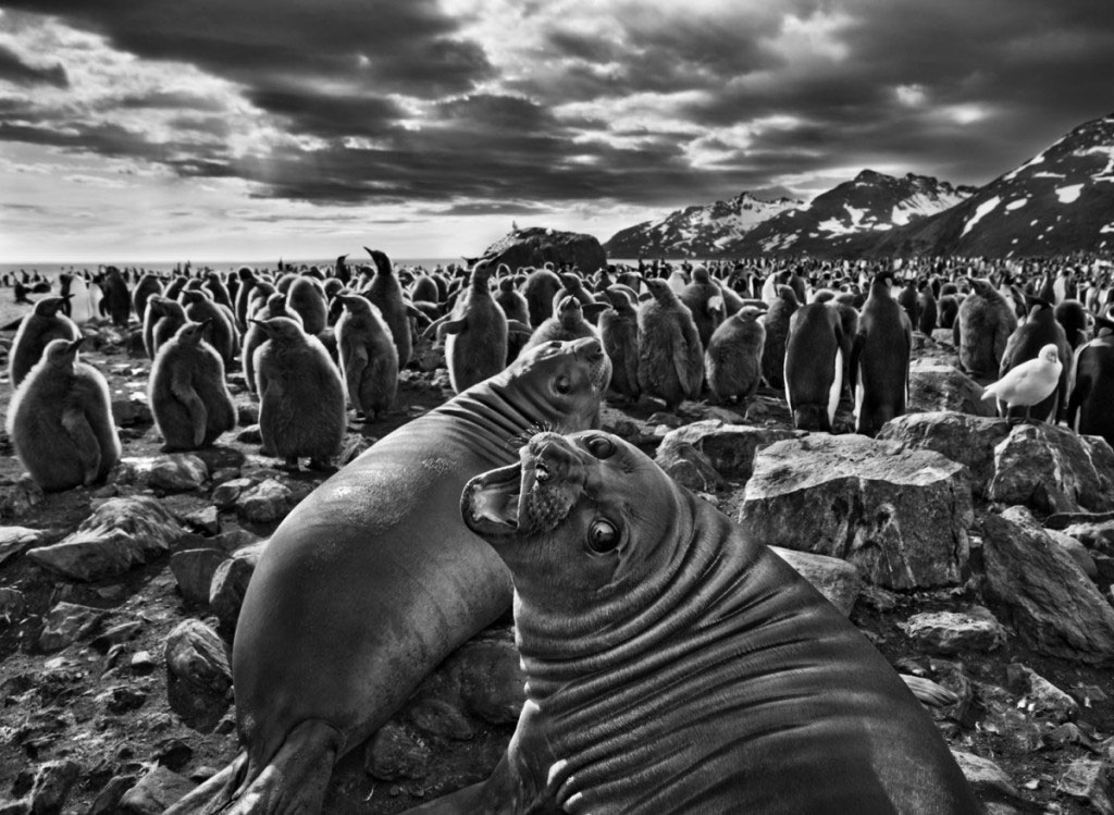 Foto: Sebastião Salgado