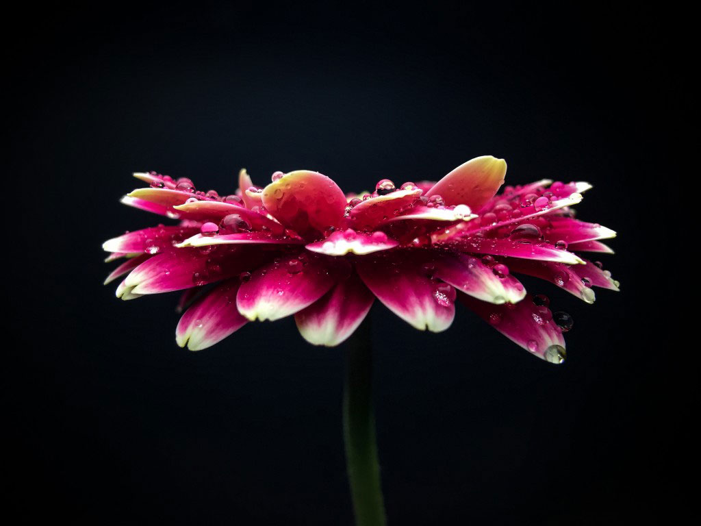 John Win Photography