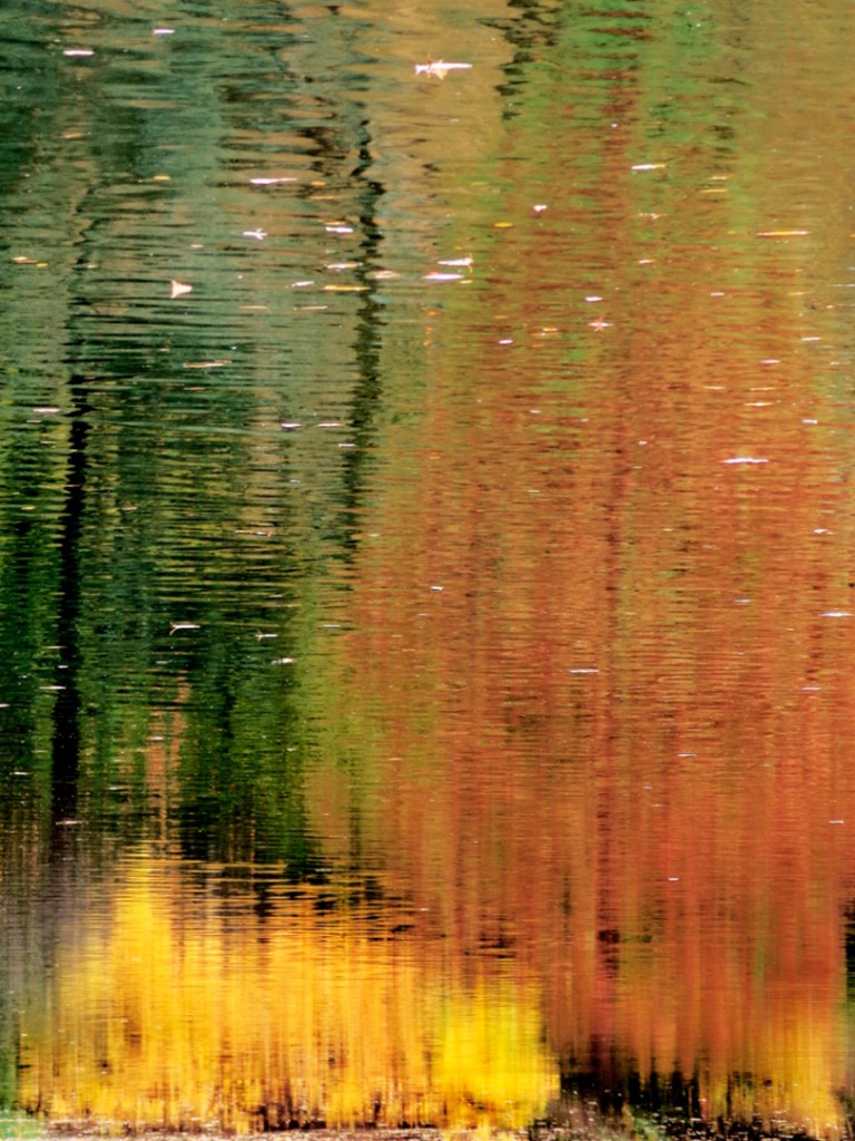 exposição coletiva de fotografia