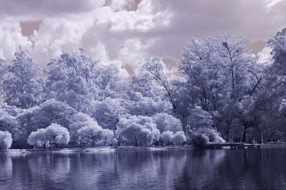 exposição coletiva de fotografia