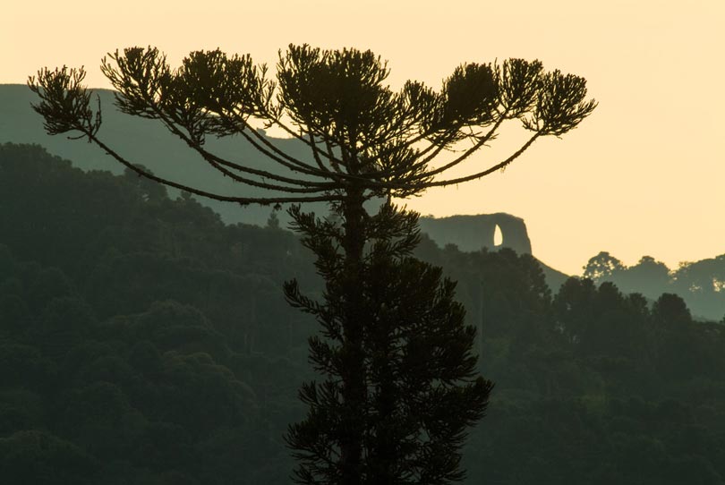 Foto: Zé Paiva