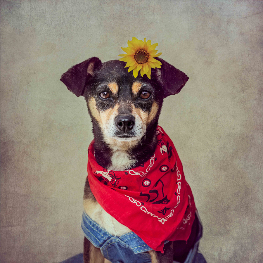 Penny! | Foto: Tammy Swarek