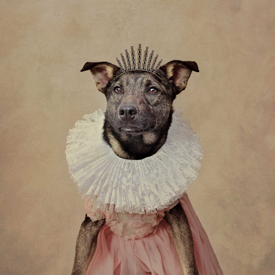 Ms Wesson | Foto: Tammy Swarek