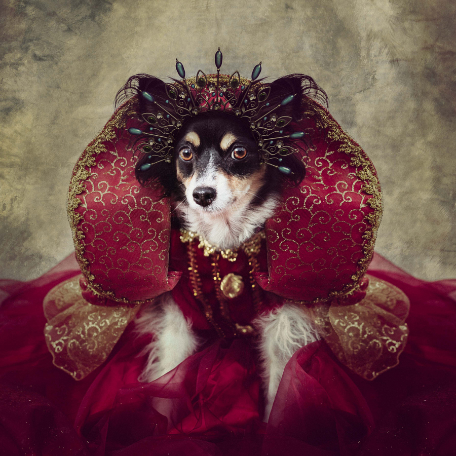 Peggy Sue | Foto: Tammy Swarek