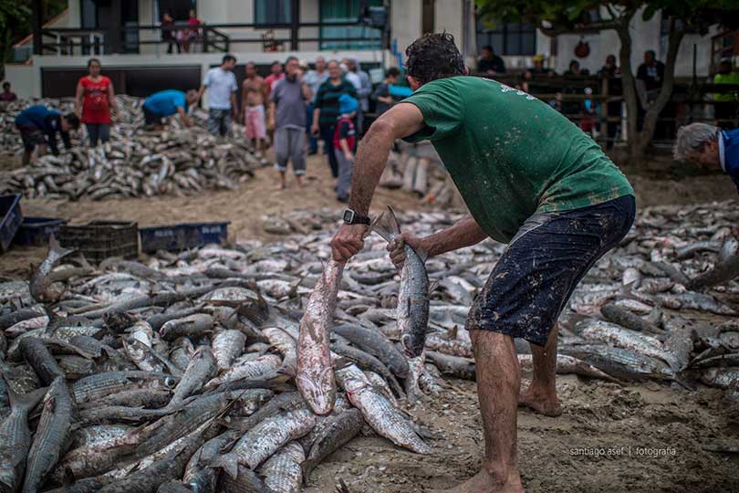 iPhotoChannel_PescaTaina_SantiagoAsef_4