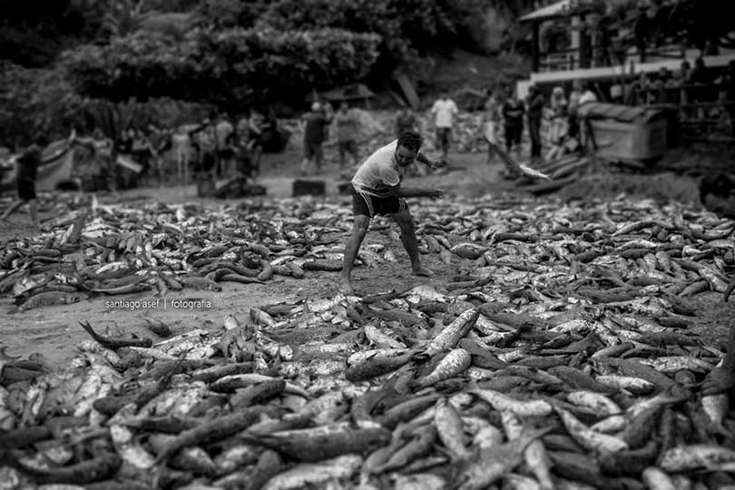 iPhotoChannel_PescaTaina_SantiagoAsef_8