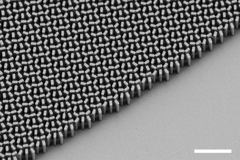 Uma visão microscópica da lente de metamateriais registrada pelos cientistas da Harvard