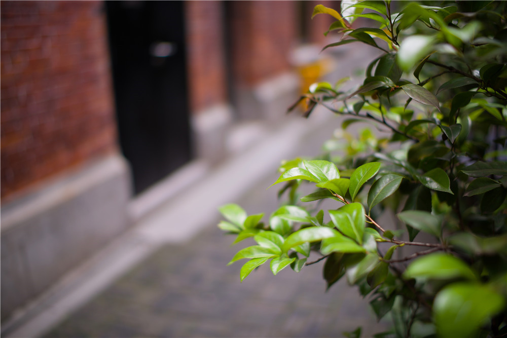 iphoto-lente-fotografia-kerle-35-1-2 (5)