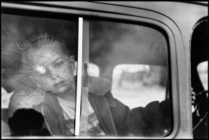 iPhoto Editora - Elliot Erwitt (11)