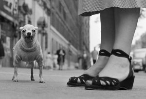 USA. New York City. 1946.