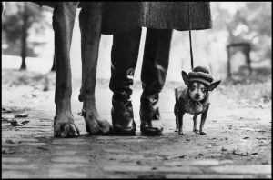 USA,New York city. New York, 1974. Felix, Gladys and Rover.