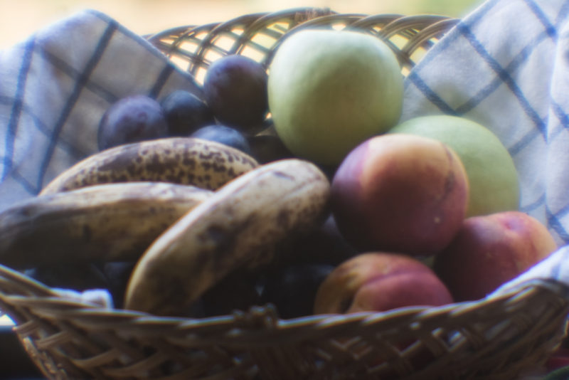 iphoto-lente-do-seculo-19-em-camera-mirrorless-sony-a7s (1)