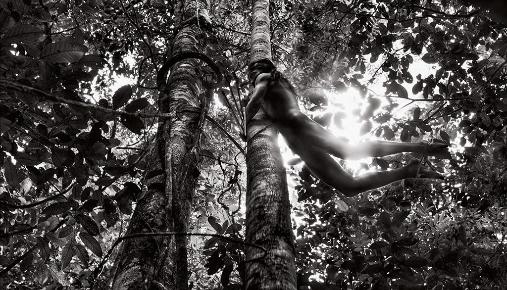 iphoto-sebastião-salgado (1)