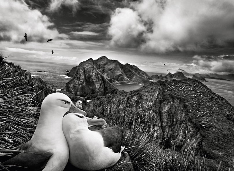 iphoto-sebastião-salgado (12)