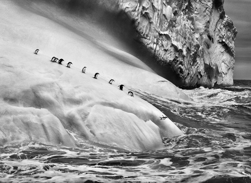 iphoto-sebastião-salgado (17)