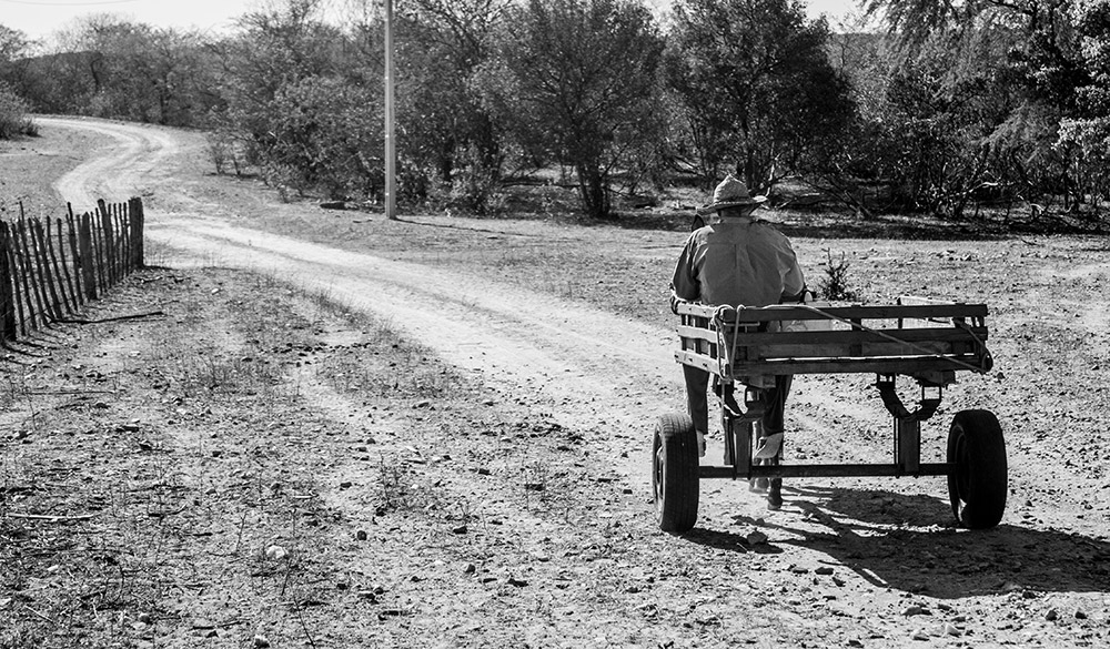 Foto: Rodrigo Chadí
