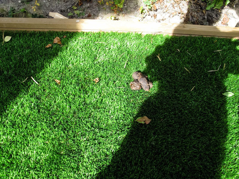 iphoto-menino-fotografo-1-ano-e-meio-canon-g12-11