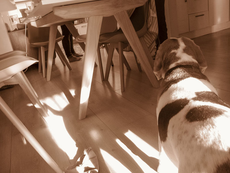 iphoto-menino-fotografo-1-ano-e-meio-canon-g12-13