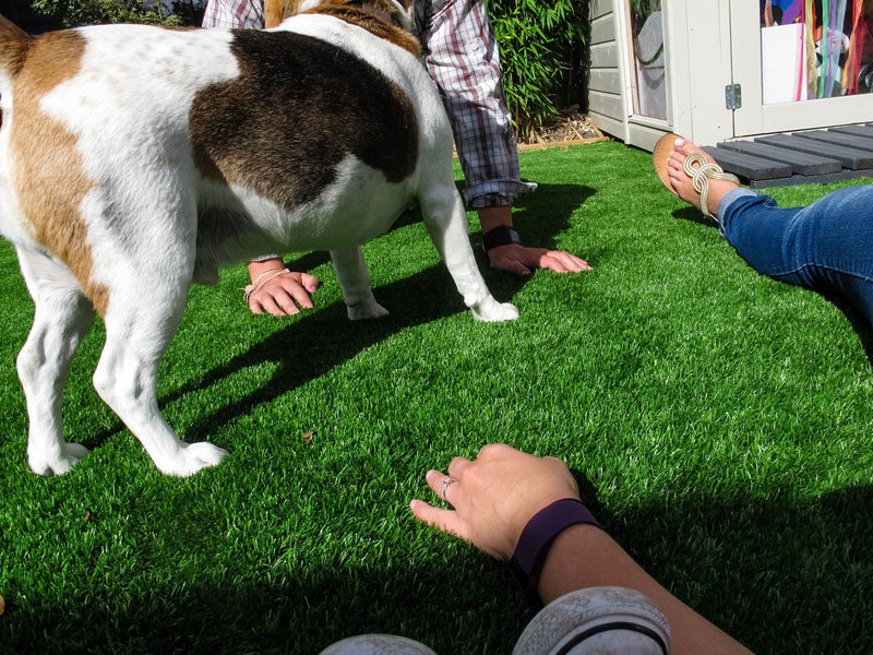 iphoto-menino-fotografo-1-ano-e-meio-canon-g12-21