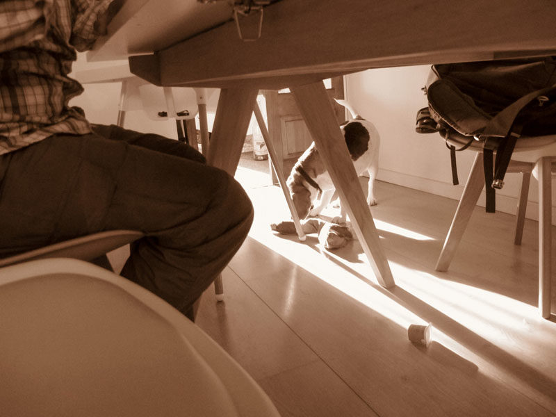 iphoto-menino-fotografo-1-ano-e-meio-canon-g12-22