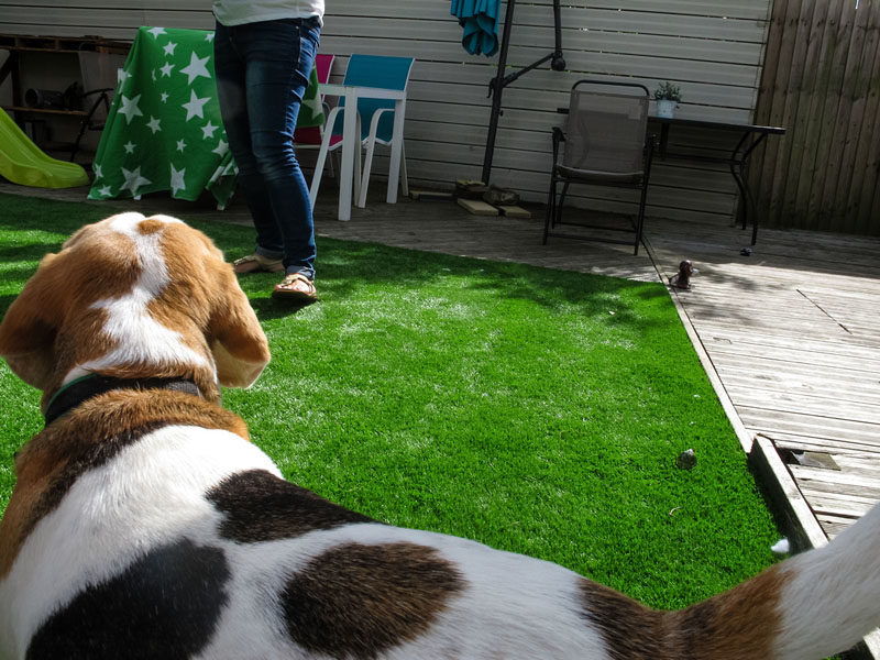 iphoto-menino-fotografo-1-ano-e-meio-canon-g12-29