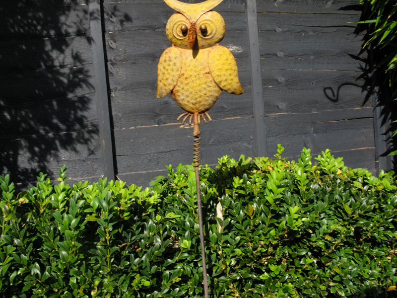 iphoto-menino-fotografo-1-ano-e-meio-canon-g12-5