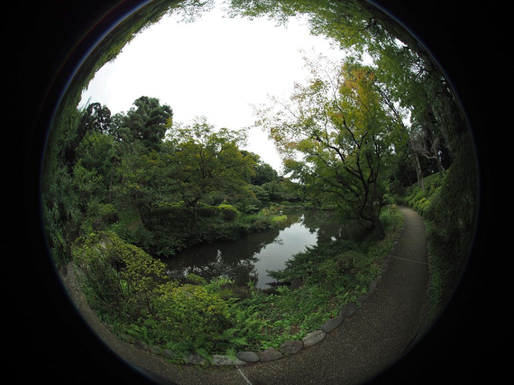 iphoto-lente-fisheye-250-ve-atras-de-si-6