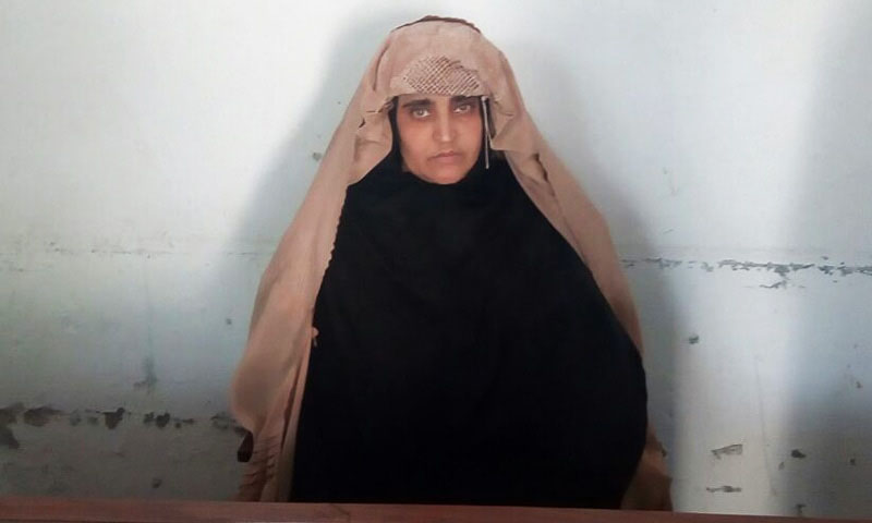 Sharbat Gula fotografada pela Agência de Investigação Federal do Paquistão (FIA) 