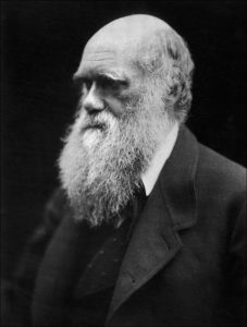 An 1869 portrait of Charles Darwin, the British naturalist whose theory of natural selection fundamentally altered the world's opinions about the evolution of living things.