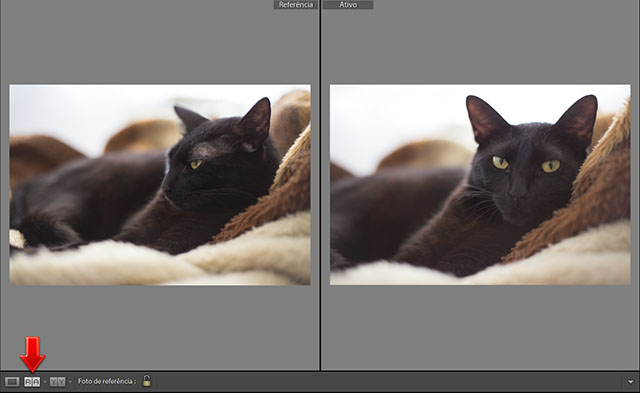 iphoto-atualizacao-adobe-lightroom-1