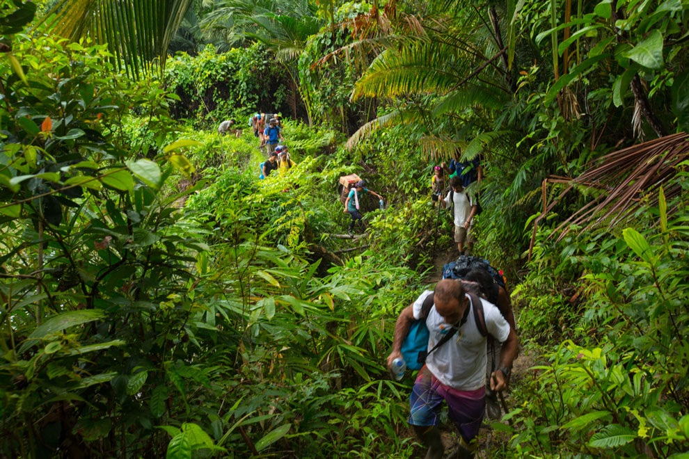 Caminho no meio da mata em Mentawai | Foto: Klaus Schlickmann