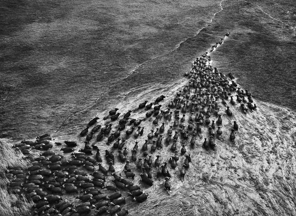 Foto: Sebastião Salgado