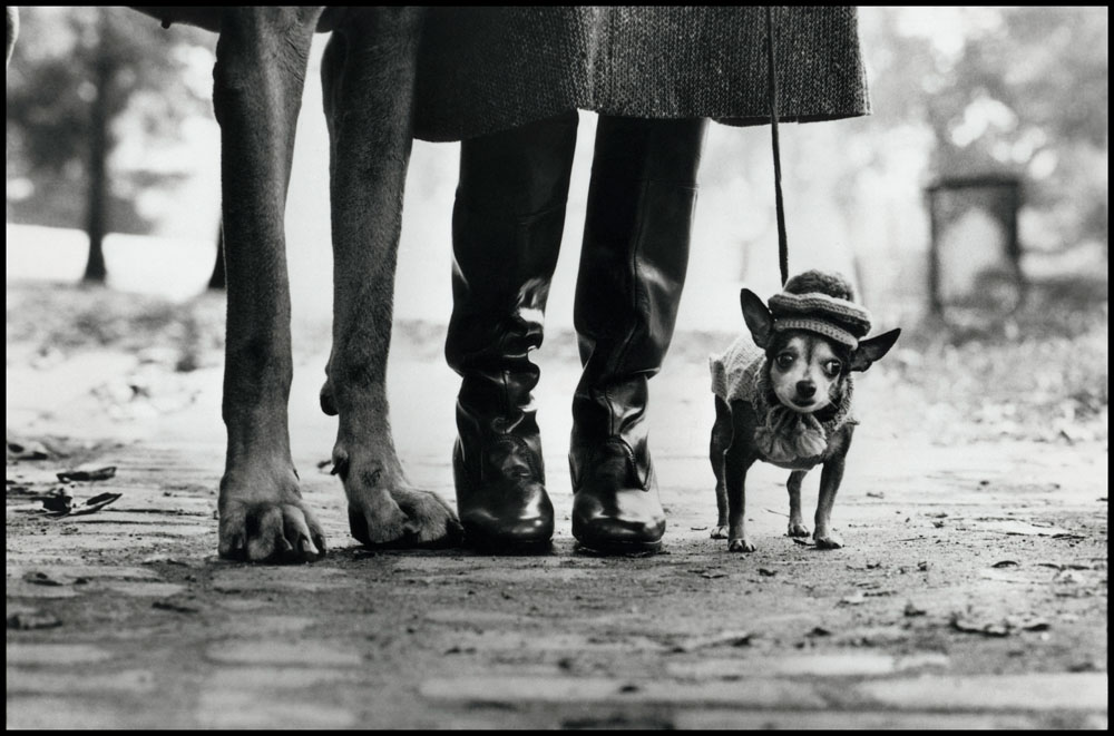 Foto: Elliot Erwitt