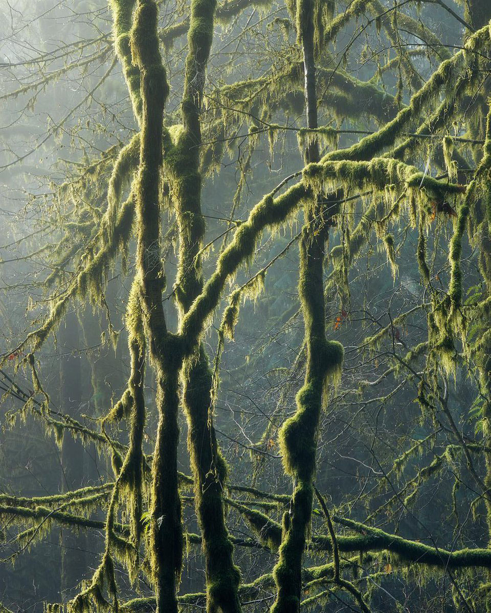 4 dicas para aproveitar ao máximo a luz de fundo na fotografia de paisagens