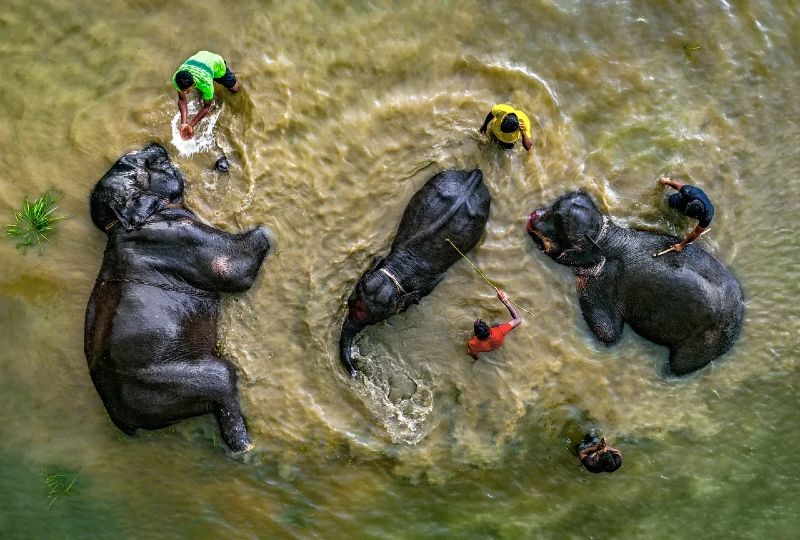 Andrei Stenin Photo Contest