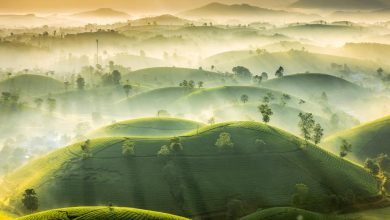 concurso de fotografia