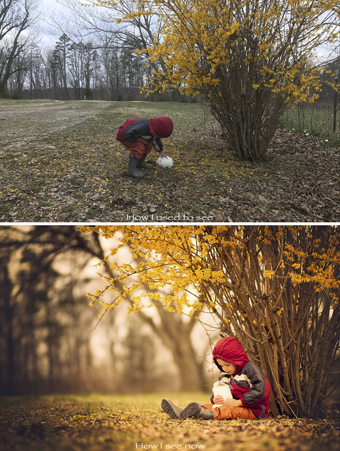 dicas de fotografia