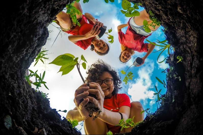 Concurso de fotografia de natureza para fotógrafos amadores