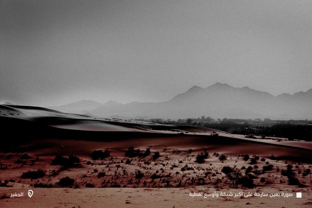 Camelo vira assistente de fotógrafo e ajuda a capturar imagens em lugares inexplorados