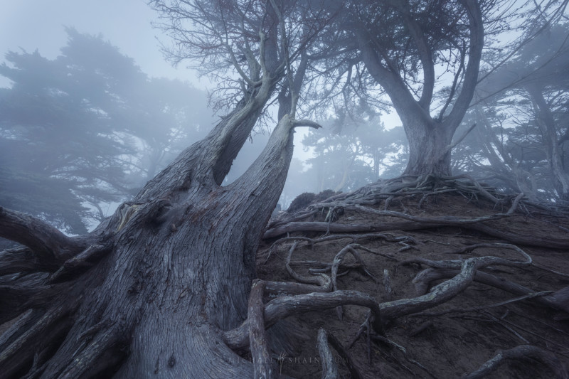 Fotos de paisagens: 5 dicas de fotografia