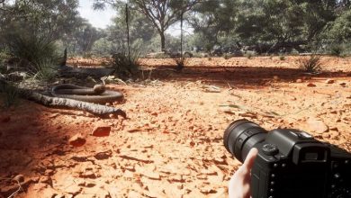 Photography Simulator game