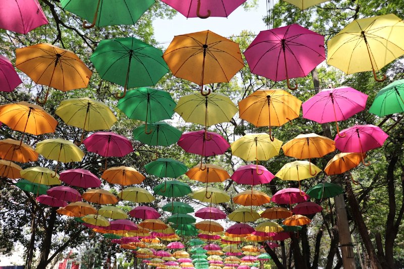 A imagem "Diversidade" do fotógrafo Flávio Adriano Bastos, da cidade de Pouso Alegre/MG, foi eleita a Foto do Dia.