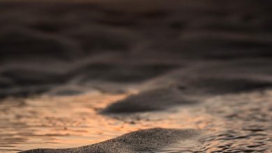 A imagem "Sol, terra e mar", feita no pôr-do-sol na praia da Pipa, no Rio Grande do Norte, pela fotógrafa Alessandra Fernandes Ferreira, da cidade de João Pessoa/PB, foi eleita a Foto do Dia